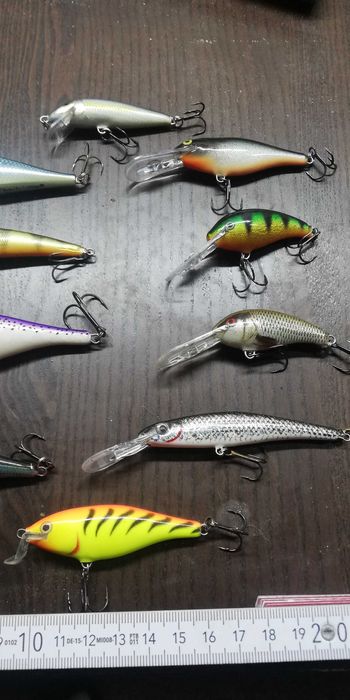 Woblery Rapala Salmo