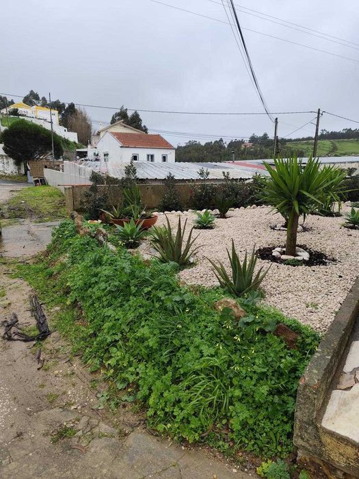 Jardinagem - Limpeza