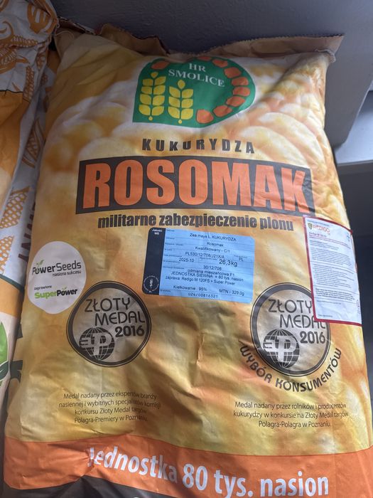 Kukurydza Rosomak HR 80 tys | FAO 250–260 | Smolice
