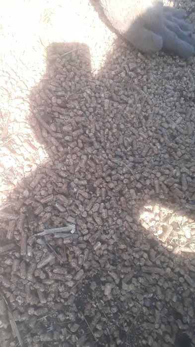 Odsprzedam 15 ton pellet sosnowy 6mm 1450 zł/tona Choroszcz • OLX.pl