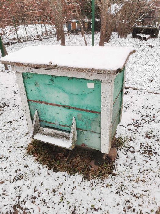 Sprzedam ule warszawskie poszerzane + rodziny pszczele, roje