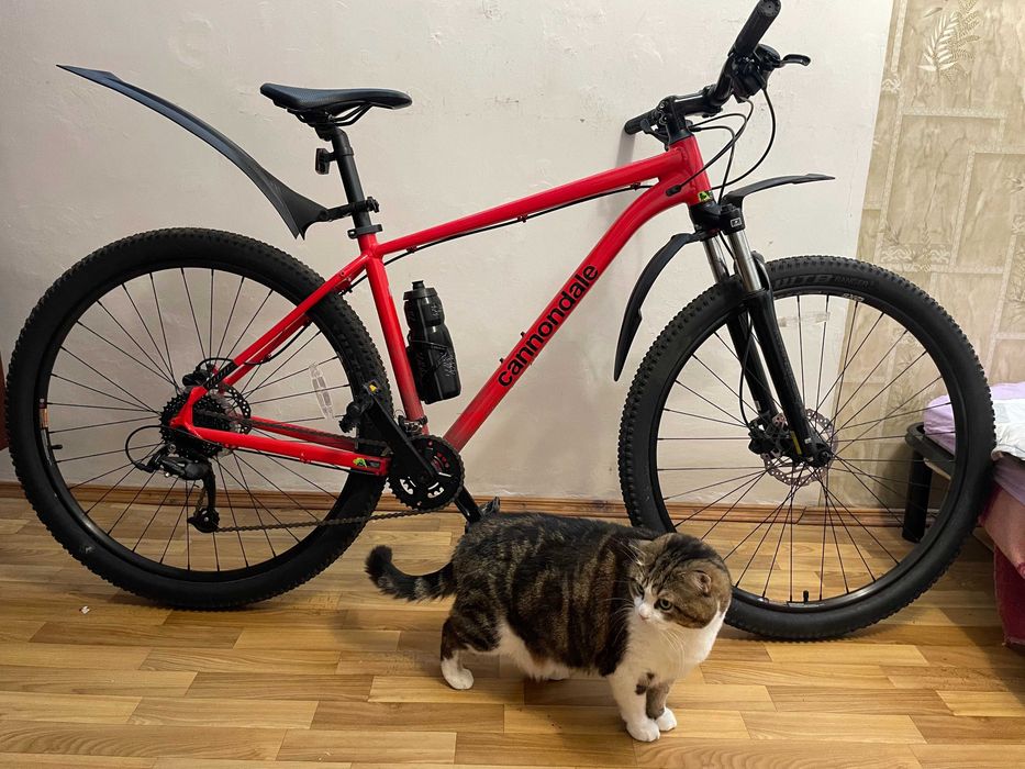 Велосипед 29" Cannondale TRAIL 7 (2023) rally red