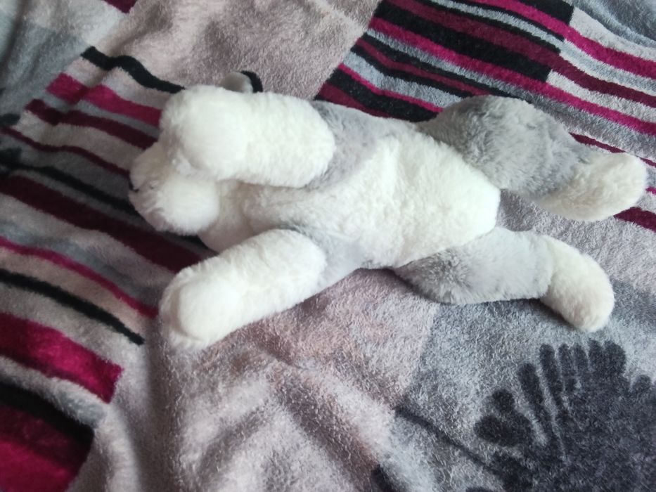 Продам велику гарну іграшку хаскі)