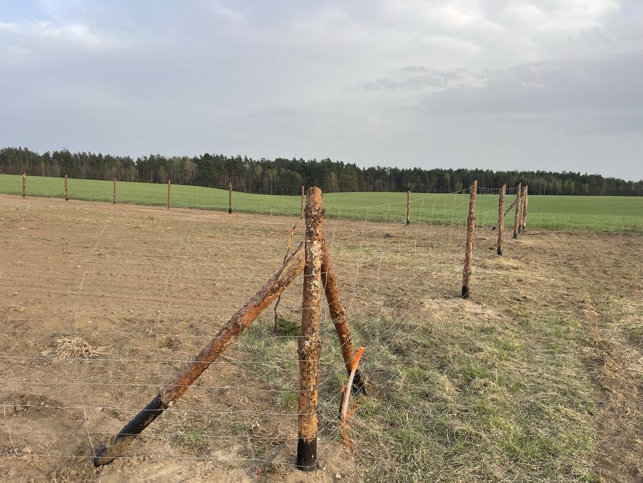 Ogrodzenia budowlane / tymczasowe  16zł/mb