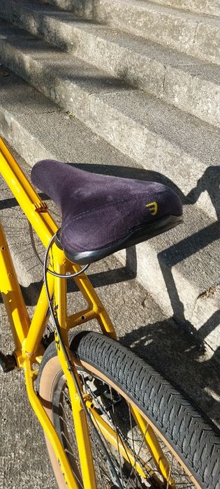 Bicicleta WDR RACE