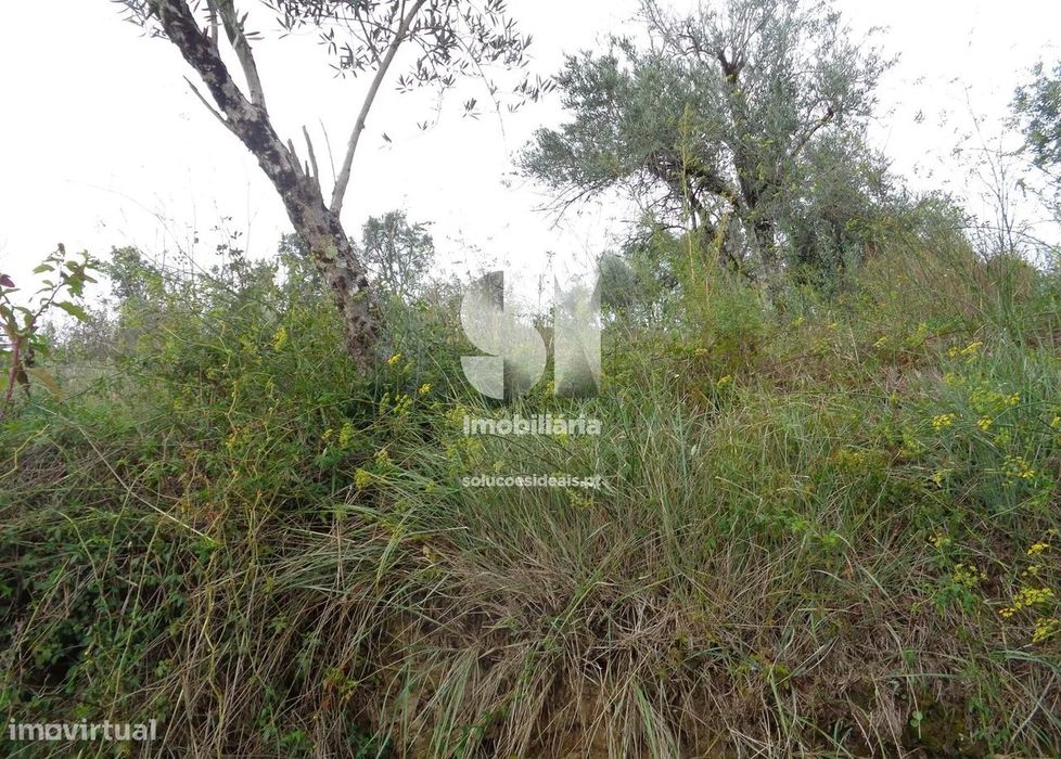 Terreno em Lousã — Lousã E Vilarinho, Coimbra