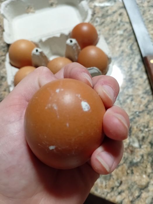 Vendo ovos de galinhas caseiras