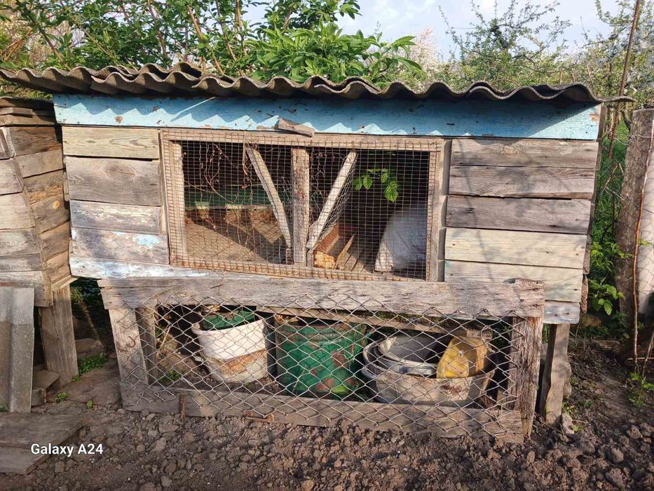 Клітка кролячааа