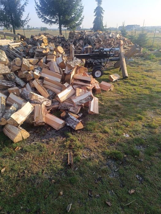 Drewno opałowe i kominkowe wycinka drzew