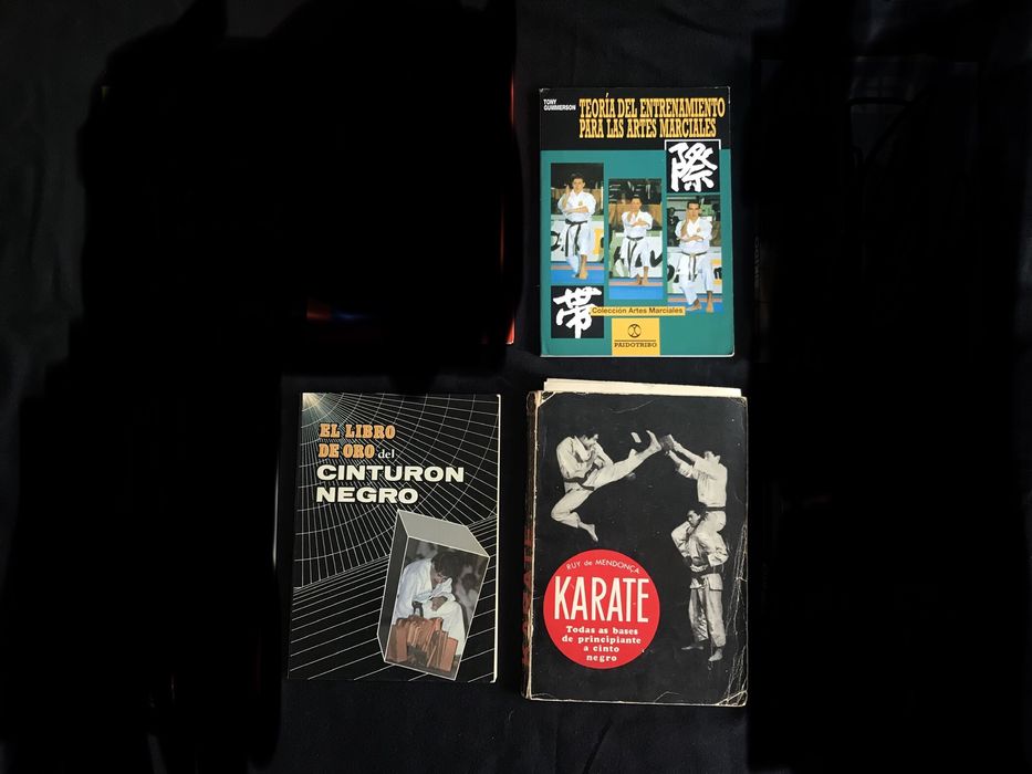 Artes marciais karate