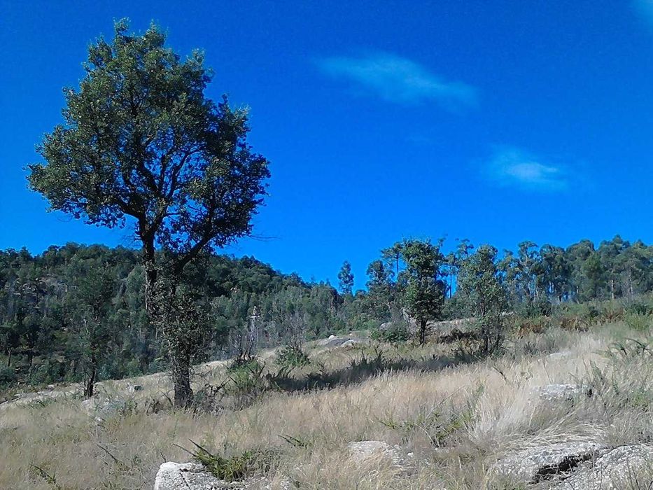 Terreno (13.283m2) com possibilidade de construção