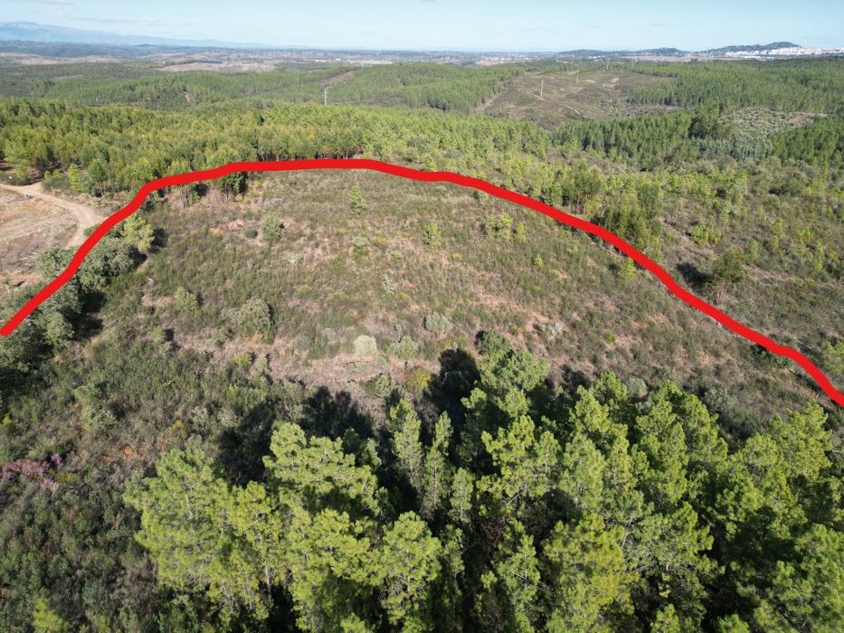 Terreno Rústico - 12580 m2