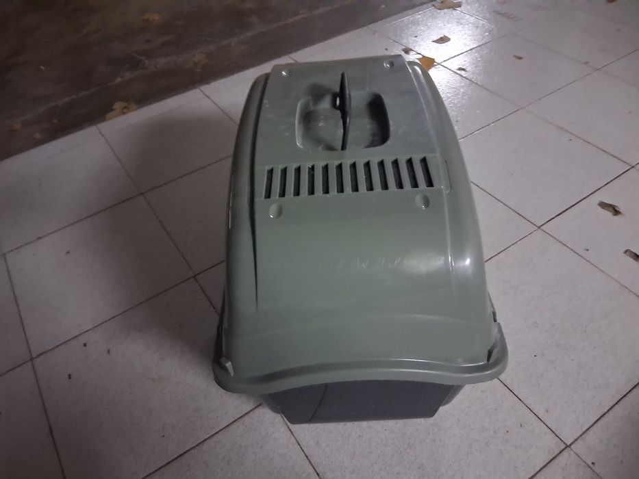Caixa de areia para gato