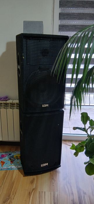 Ldm pxp proline 2x300