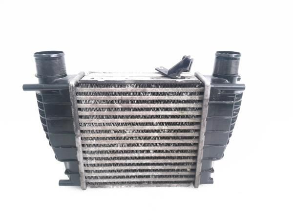 Radiador do intercooler RENAULT Clio III (BR0/1, CR0/1)