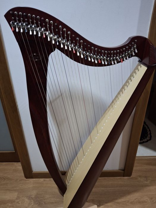 Vendo harpa Salvi modelo Mia