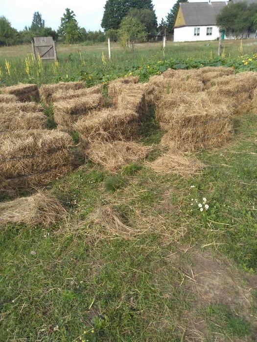 Продається солома в тюках на підстелю