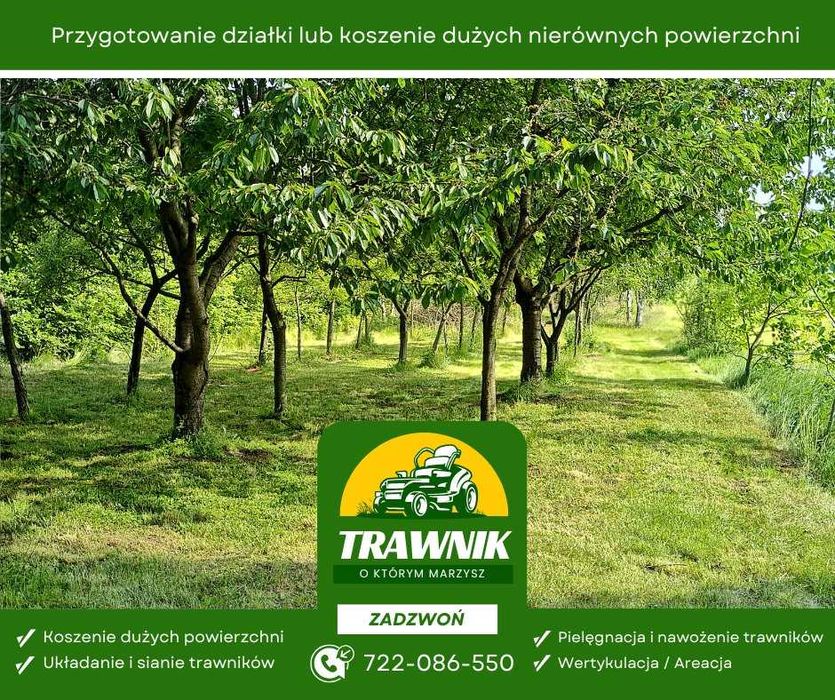 Pielęgnacja trawnika: aeracja, wertykulacja, przycinanie krzewów