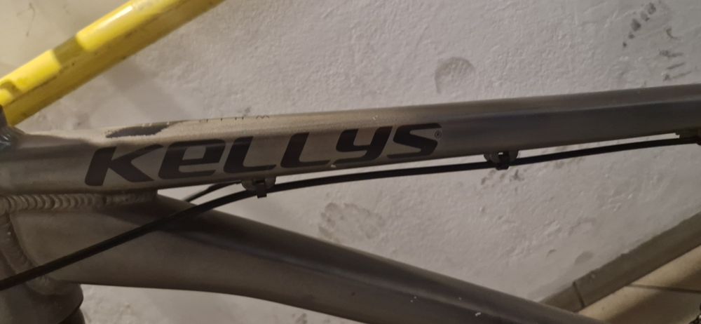 Rower Dirt Kellys Whip 10 Srebrny MTB