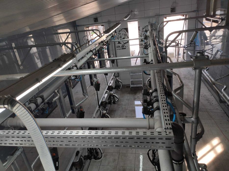 Hala udojowa,Dojarka De Laval , gwarancja