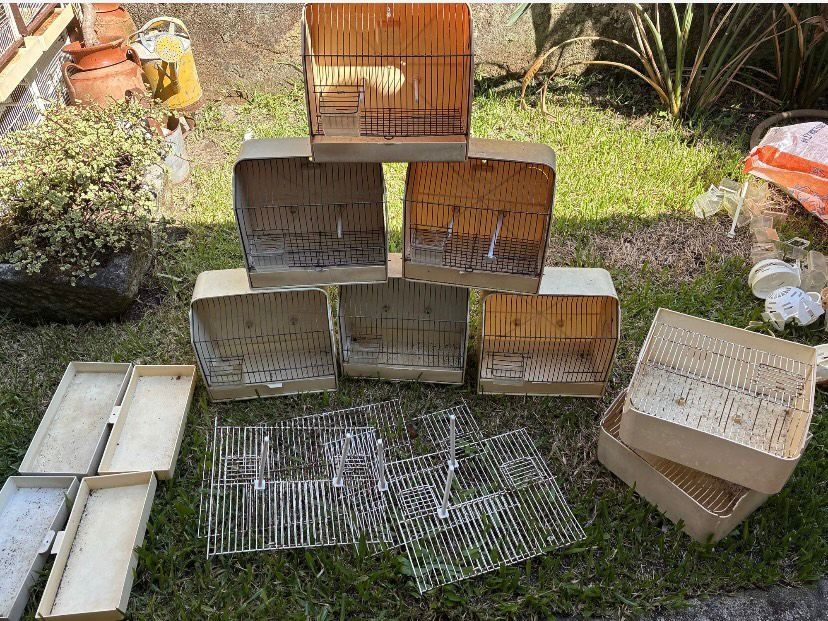 Doze Gaiolas De Exposição Para Pássaro