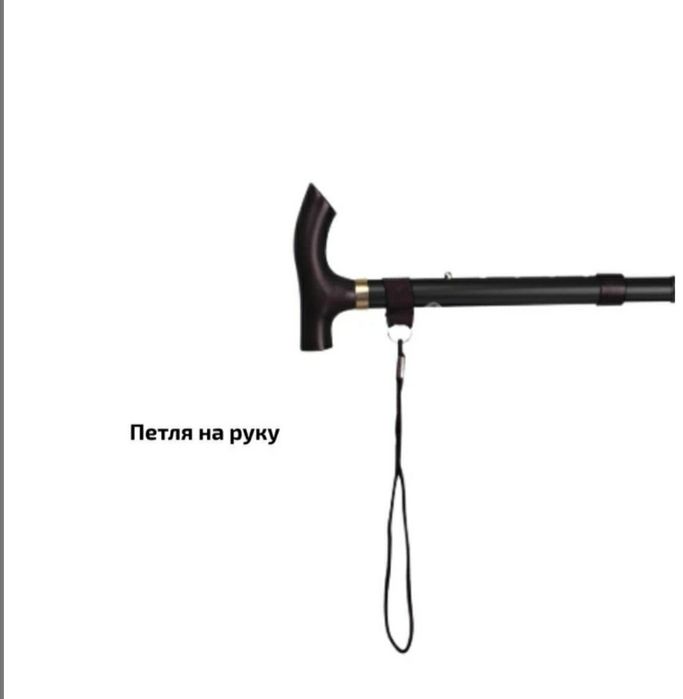 Тростина, палиця для ходьби
