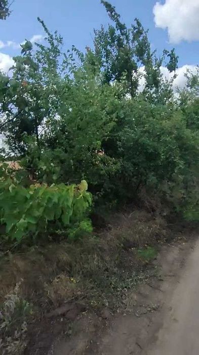 Продам землю 4.5 га в Межлиманьерядом с Одессой