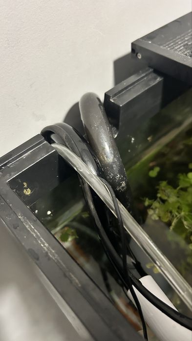 Filtro eheim professionel 4+ 600