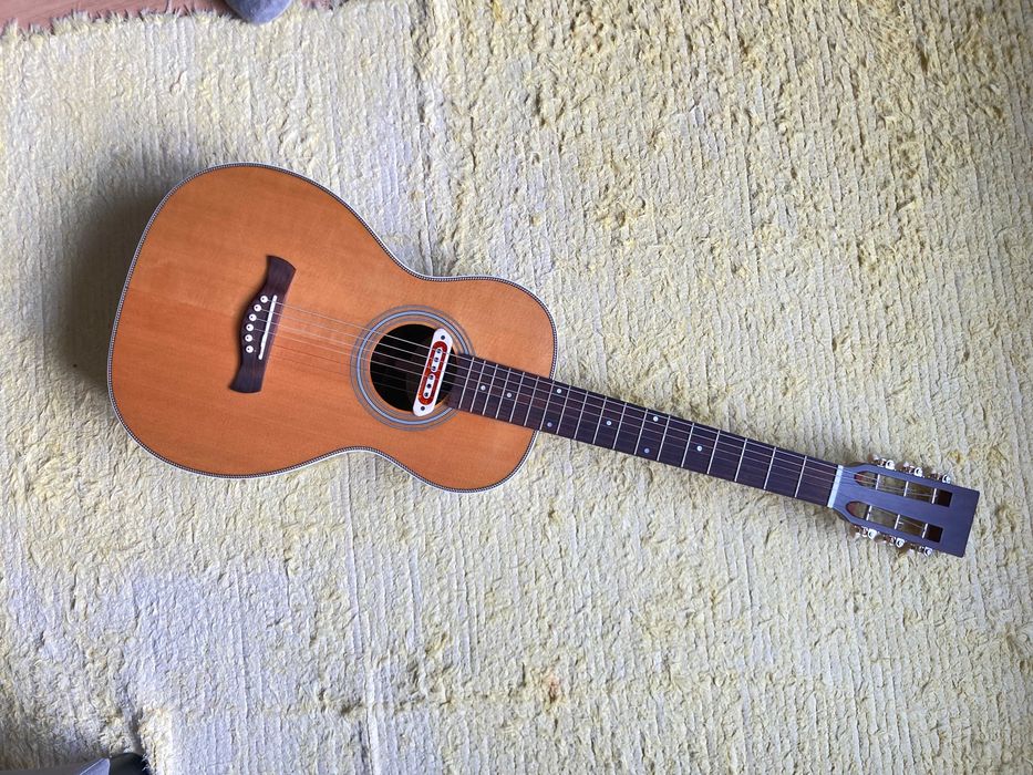 Guitarra Acústica Richwood P-65-VA Master Series e Acessórios