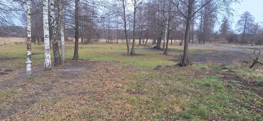 Sprzedam dom w miejscowości Świesielice 2,2ha