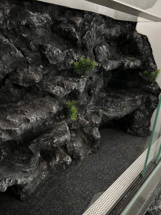 Terrarium 80x50x40