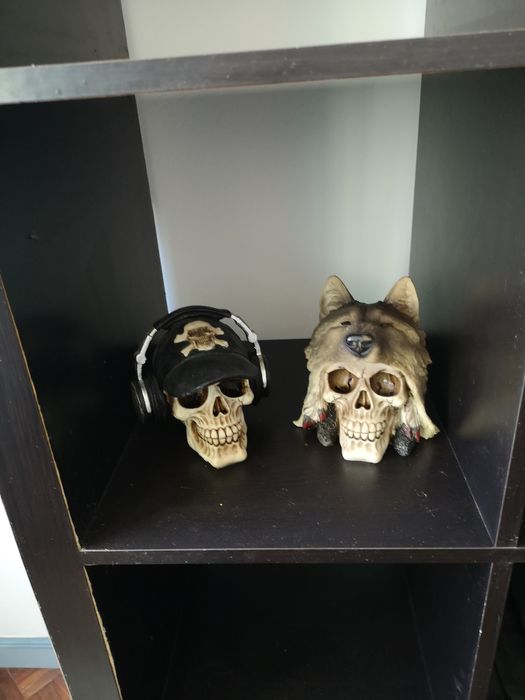 Caveiras decorativas