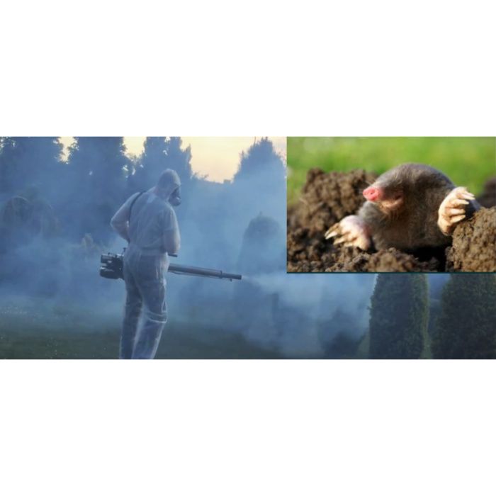 Deratyzacja Dezynsekcja Ozonowanie Odgrzybianie Fumigacja Gazowanie