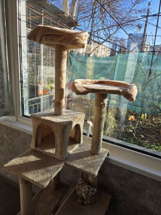 Когтеточка-домик  для кошек