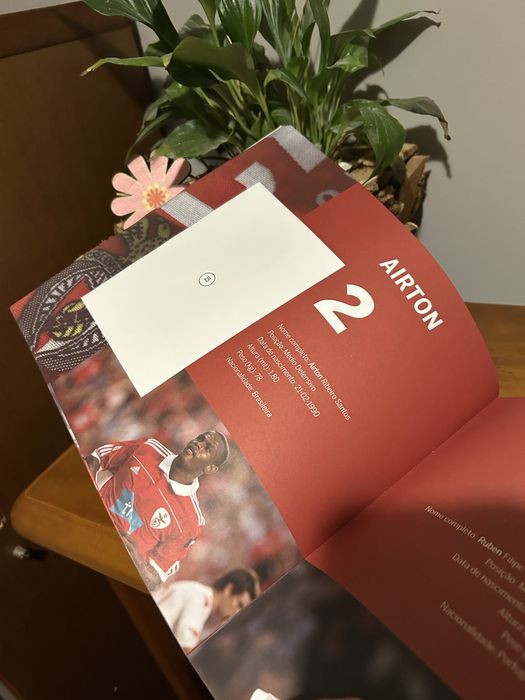 Caderneta sl benfica 2010/2011