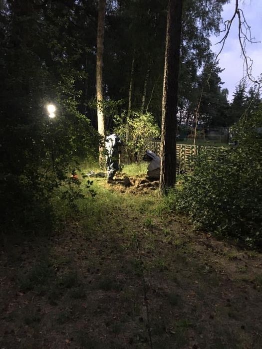 Usuwanie gniazd szerszeni i os. Rozbiórka domków narzedziowych, magazynków, altanek, placów zabaw. Sprzątanie po budowie, ogrodów i ogródkow działkowy