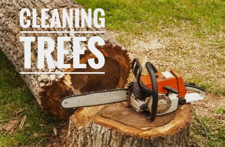 Чистка ділянок, дач, садів! Корчування!