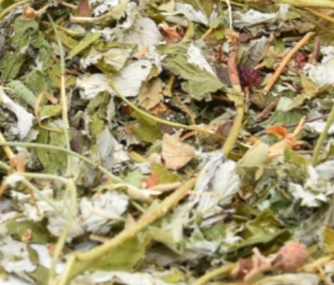 Susz, zioła dla królika