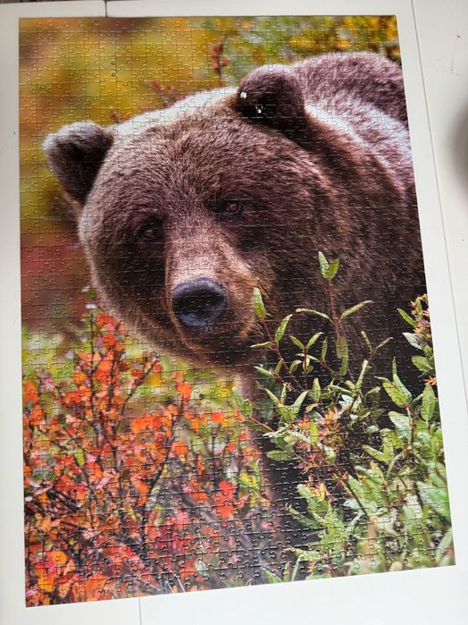Puzzle 1000 Trefl i obrazek