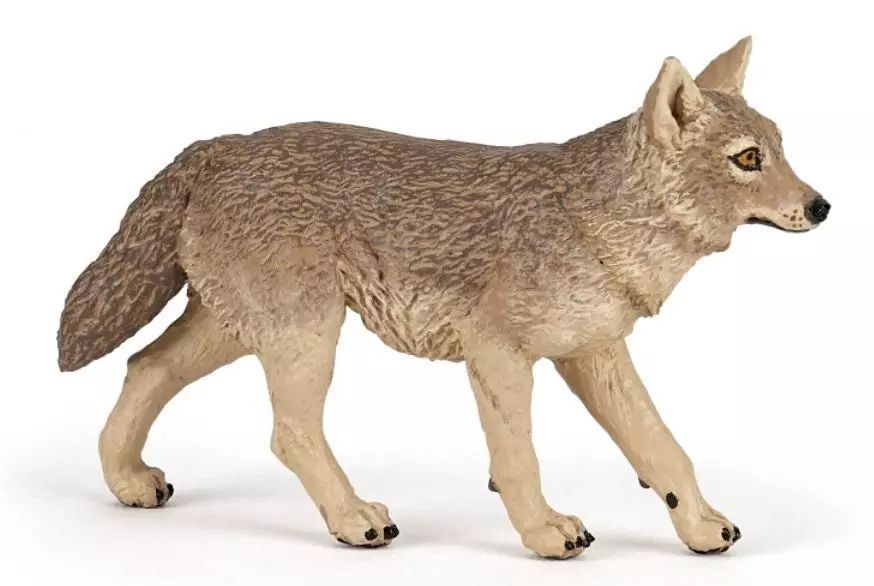 Szakal. Papo. Nowy Produkt