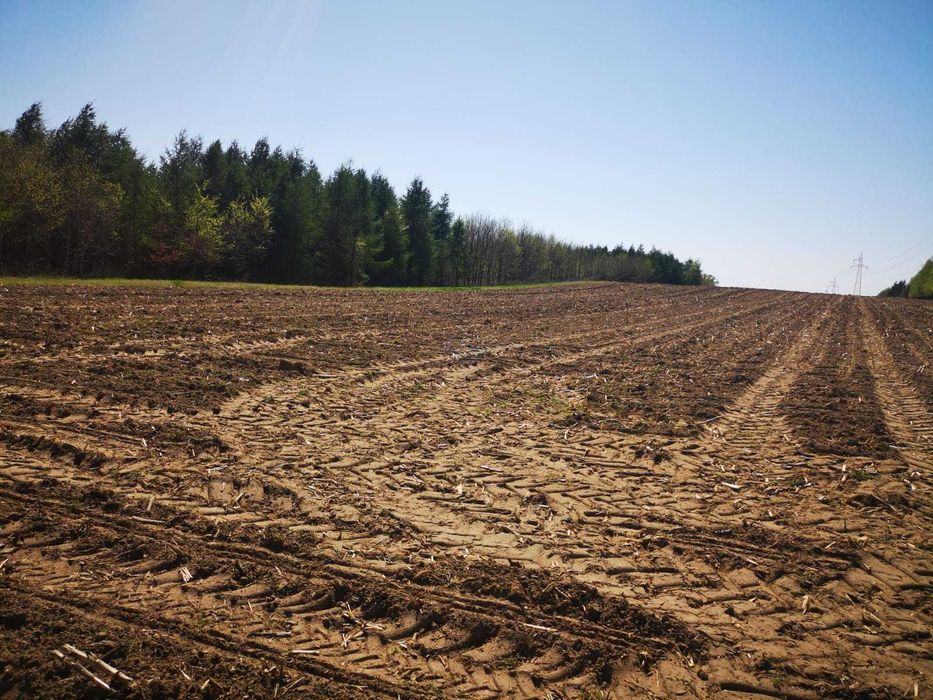Działki Budowlane Sulnowo Bardzo Blisko Świecia