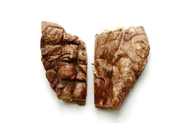 Сушеное легкое. Лакомство для собак