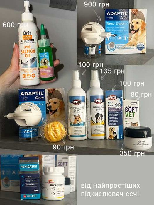 Одяг взуття сухий корм догляд та інше для собак цуциків та кошенят