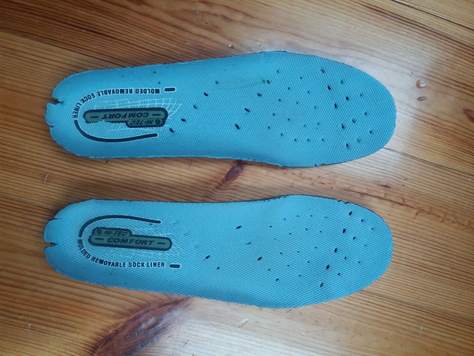 Buty trekingowe Hi-Tec