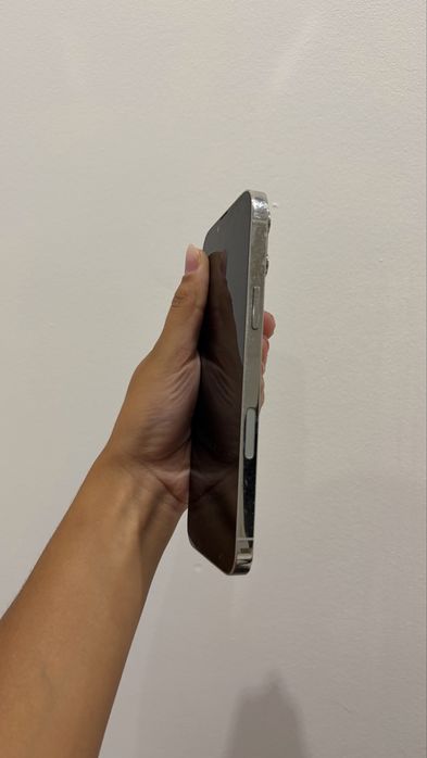 iphone 13 pro max 256 gb