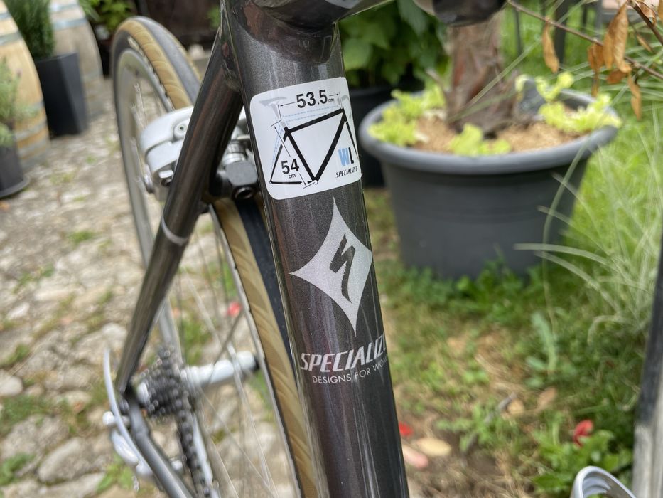 Specialized Kolarzówka L 54
