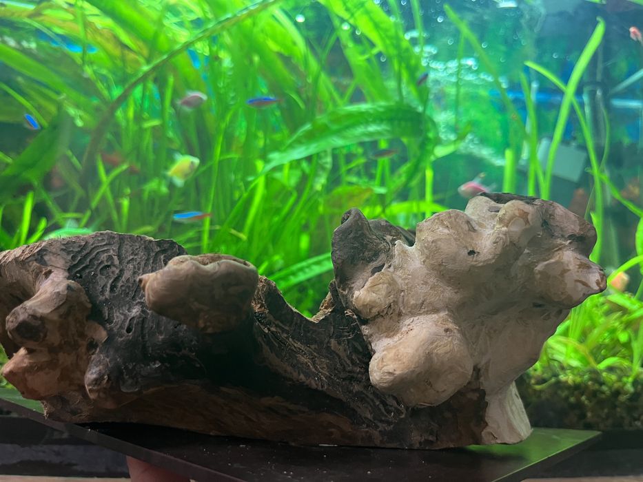 Коряги для акваріума