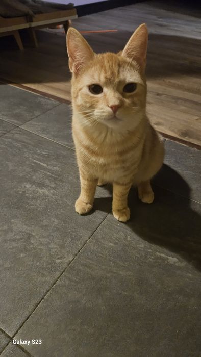 Luke i Borys w poszukiwaniu swojego Człowieka.