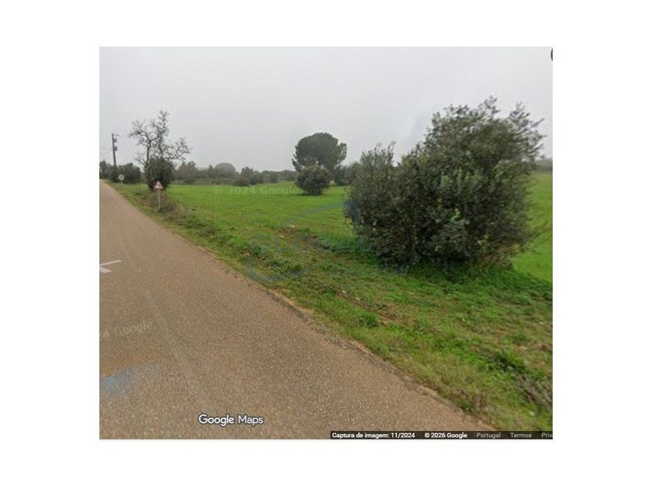 Terreno Rústico com 1,9 ha em Arieiro - Almoster- Santarém