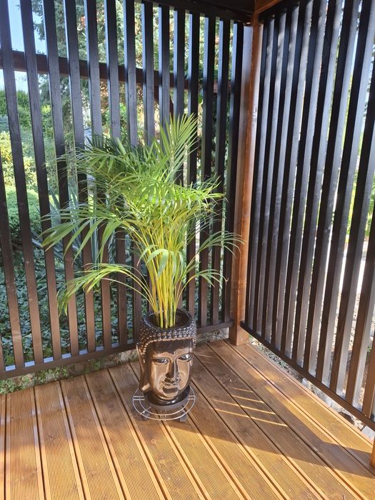 Altana kwadratowa czarna 3x3 gont bitumiczny Podłoga deska 3cm